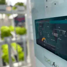 IoT Solutions